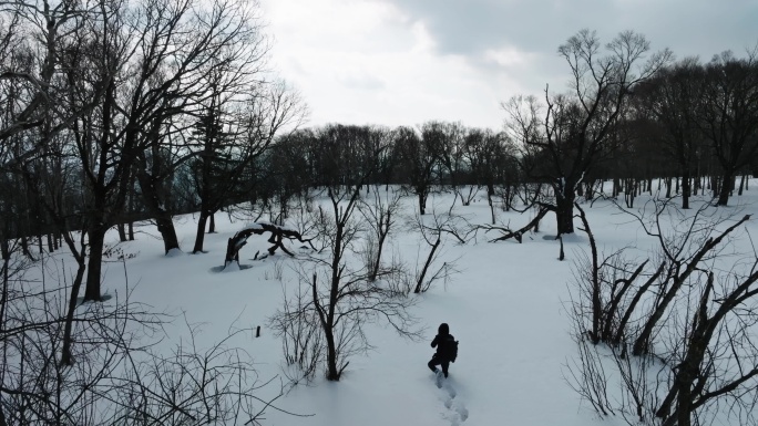 4K冬天冰天雪地人物在雪地艰难行走下雪