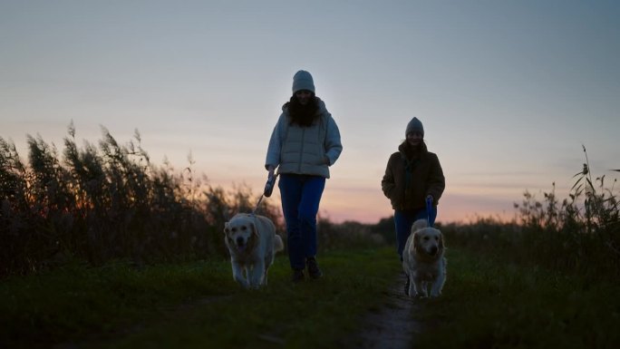 日落时分，两个女人在湖边乡间的土路上遛着金毛猎犬。芦苇随风摇摆