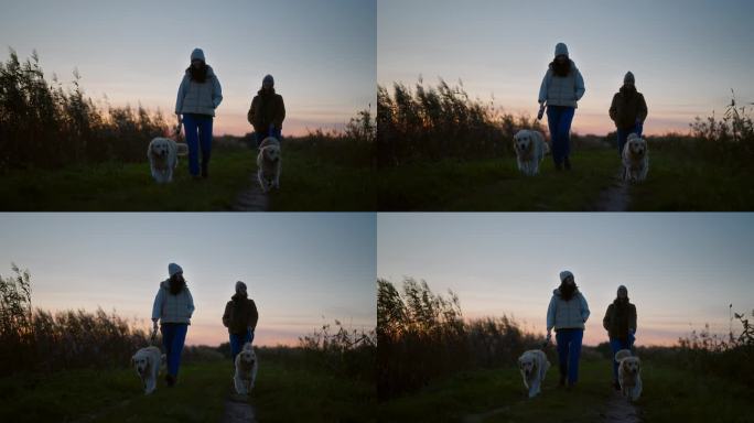 日落时分，两个女人在湖边乡间的土路上遛着金毛猎犬。芦苇随风摇摆