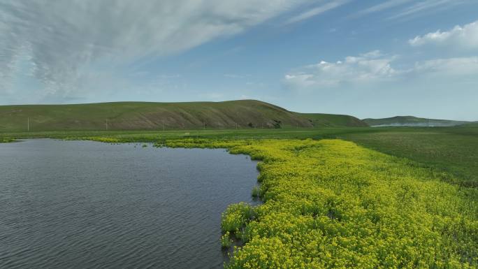 呼伦贝尔草原湖泊湿地夏天风景