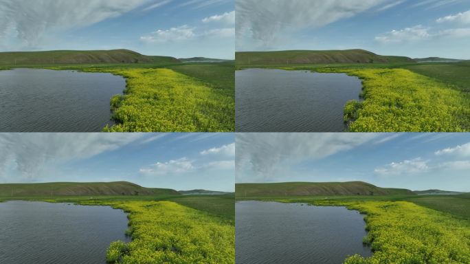 呼伦贝尔草原湖泊湿地夏天风景