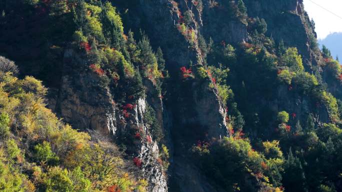 高山秋季