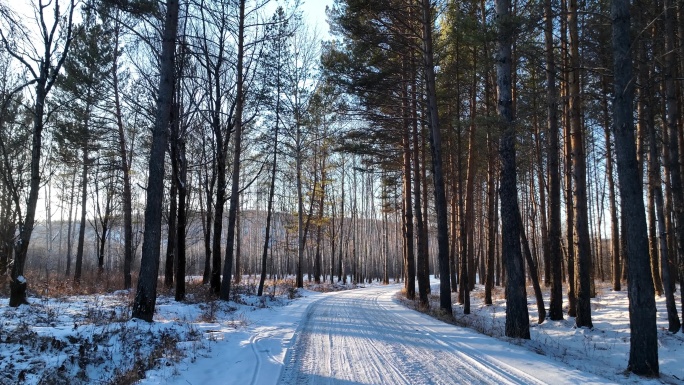 通向林海雪原的雪路