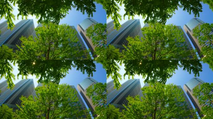 现代办公大楼透过清新的绿树清晰可见