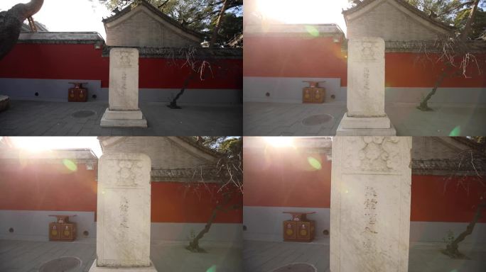 北京戒台寺视频素材