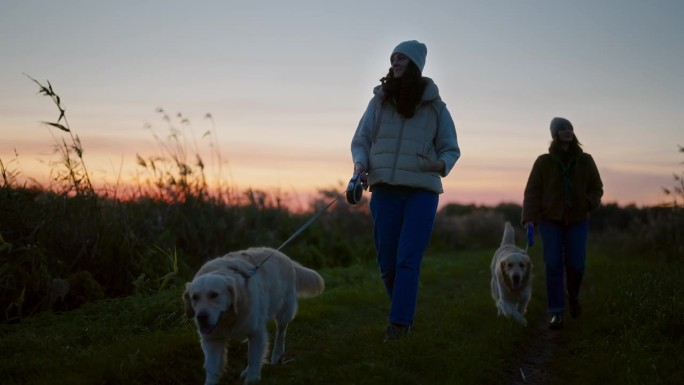 日落时分，两个女人在湖边的草地上遛着金毛猎犬