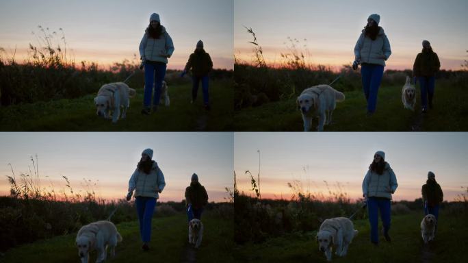 日落时分，两个女人在湖边的草地上遛着金毛猎犬