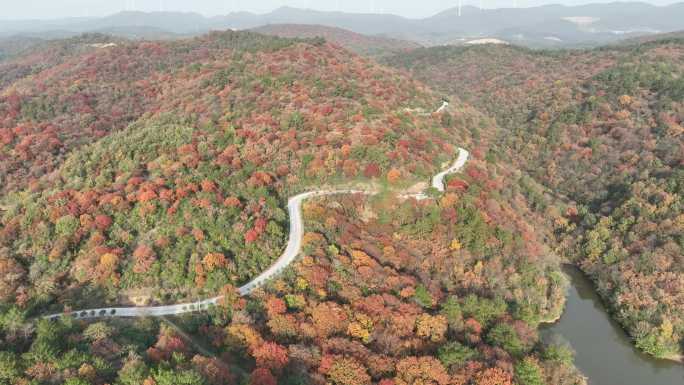 湖北荆门：层林尽染 冬景如画