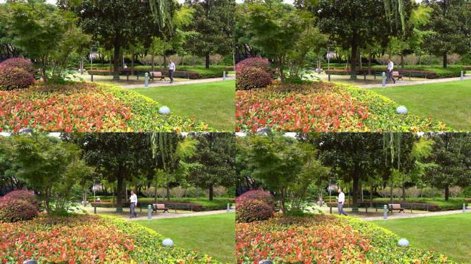 上海新虹桥花园