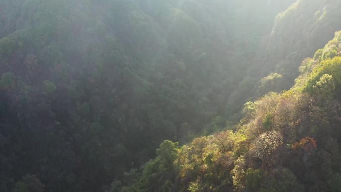 航拍云海秦岭秋季风景