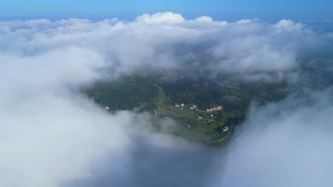 俯瞰大地  绿水青山  云海森林