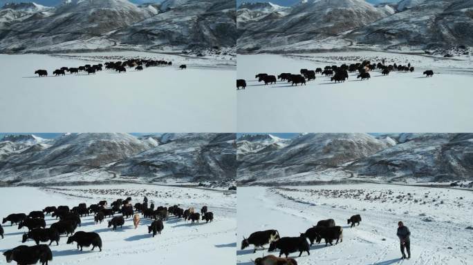 萨普冰川 西藏 那曲 比如县