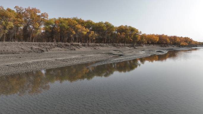 南疆叶尔羌河秋季航拍
