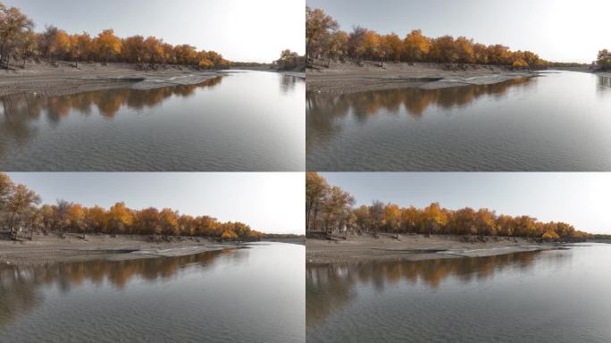 南疆叶尔羌河秋季航拍风景