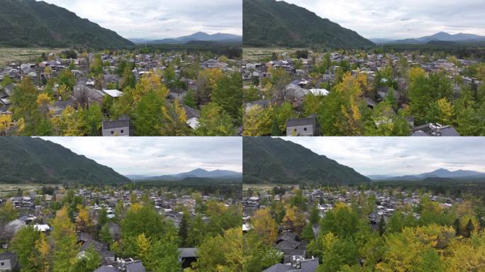 腾冲银杏村风景