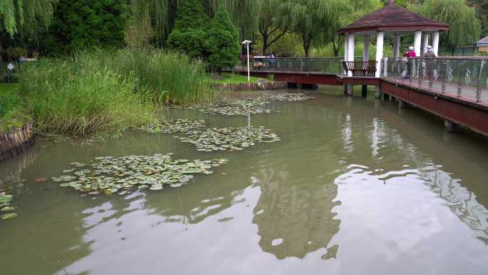 上海新虹桥花园