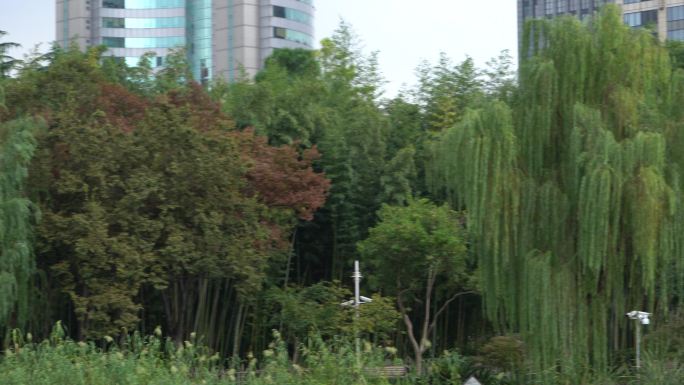 上海新虹桥中心花园