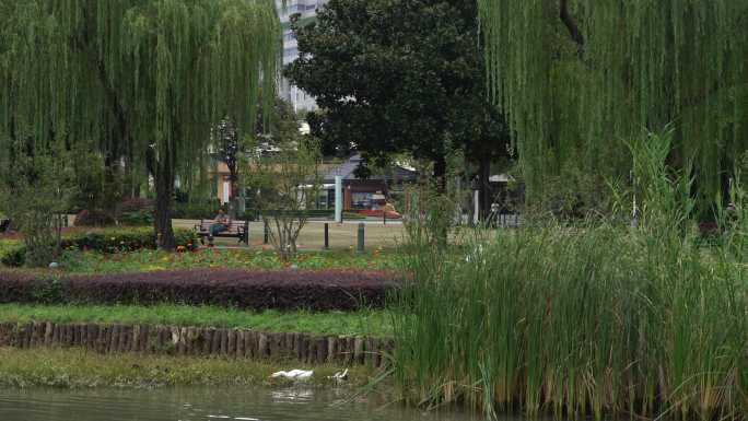 上海新虹桥中心花园