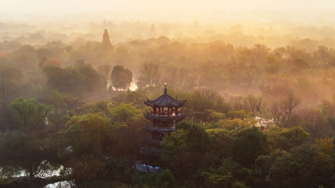 航拍杭州西溪湿地清晨