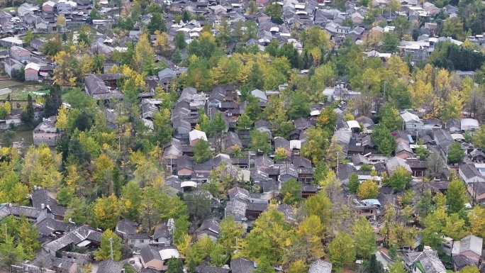 村舍鳞次栉比的腾冲银杏村秋景