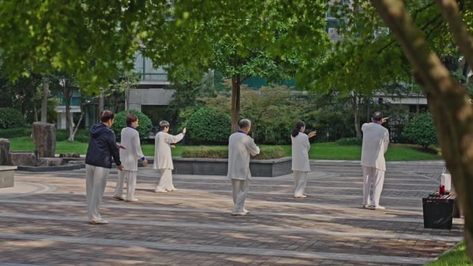 【合集】高档小区内晨练打太极的老人