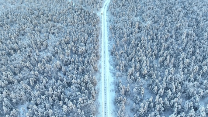 航拍自然风光冬季吉林唯美雾凇公路