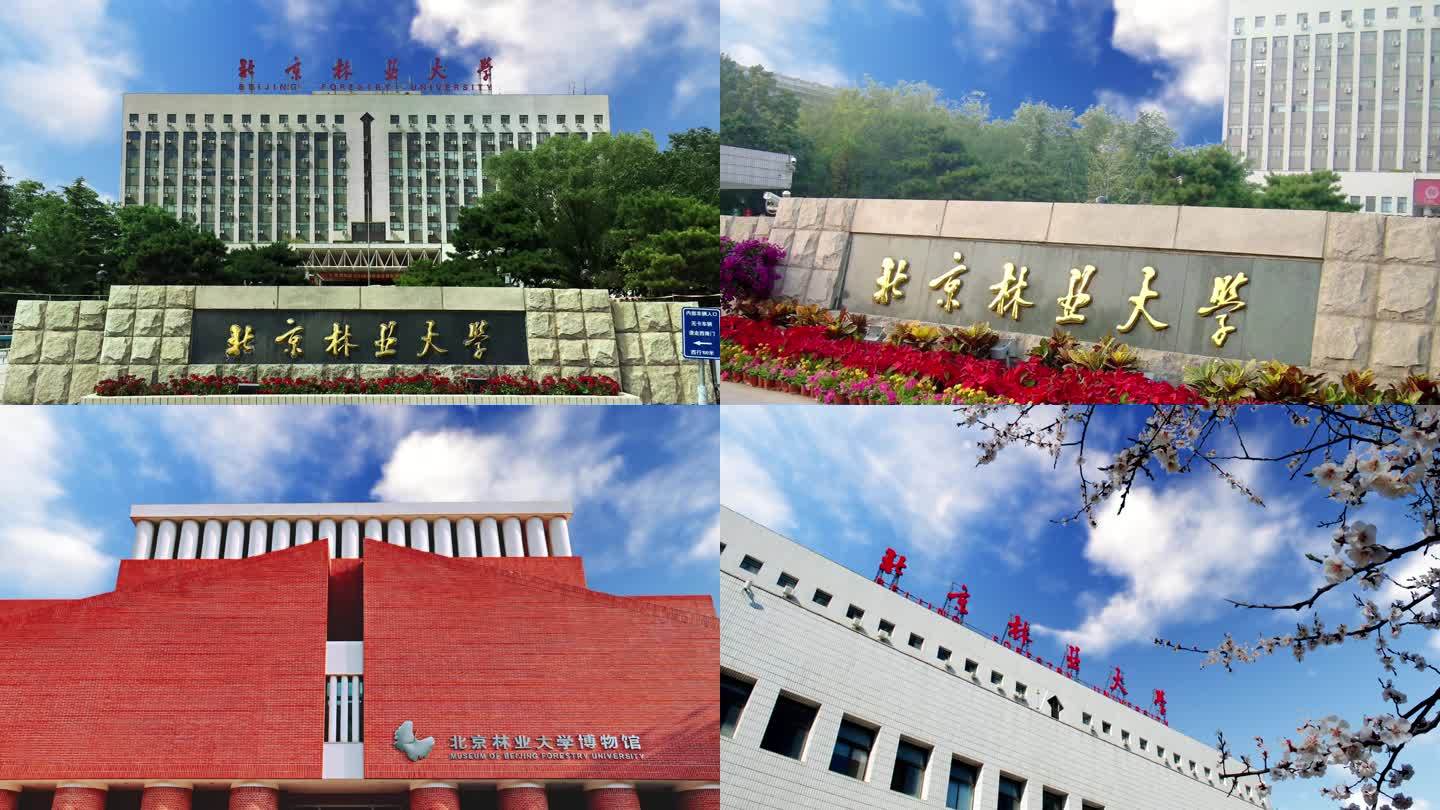 北京林业大学镜头合集