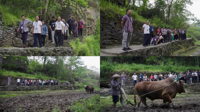 4K湘西竹山村乡村旅游游客打卡拍照1