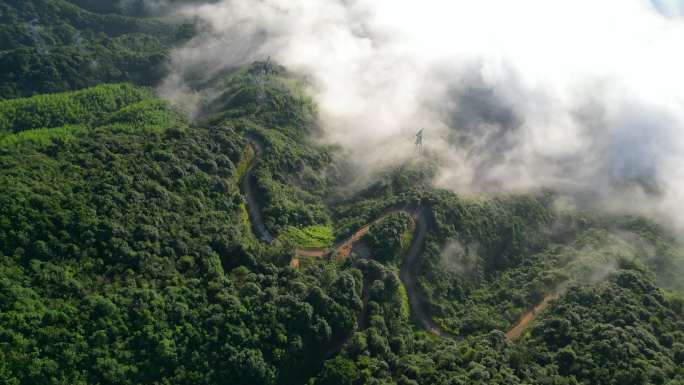 俯瞰大地  绿水青山  云海森林