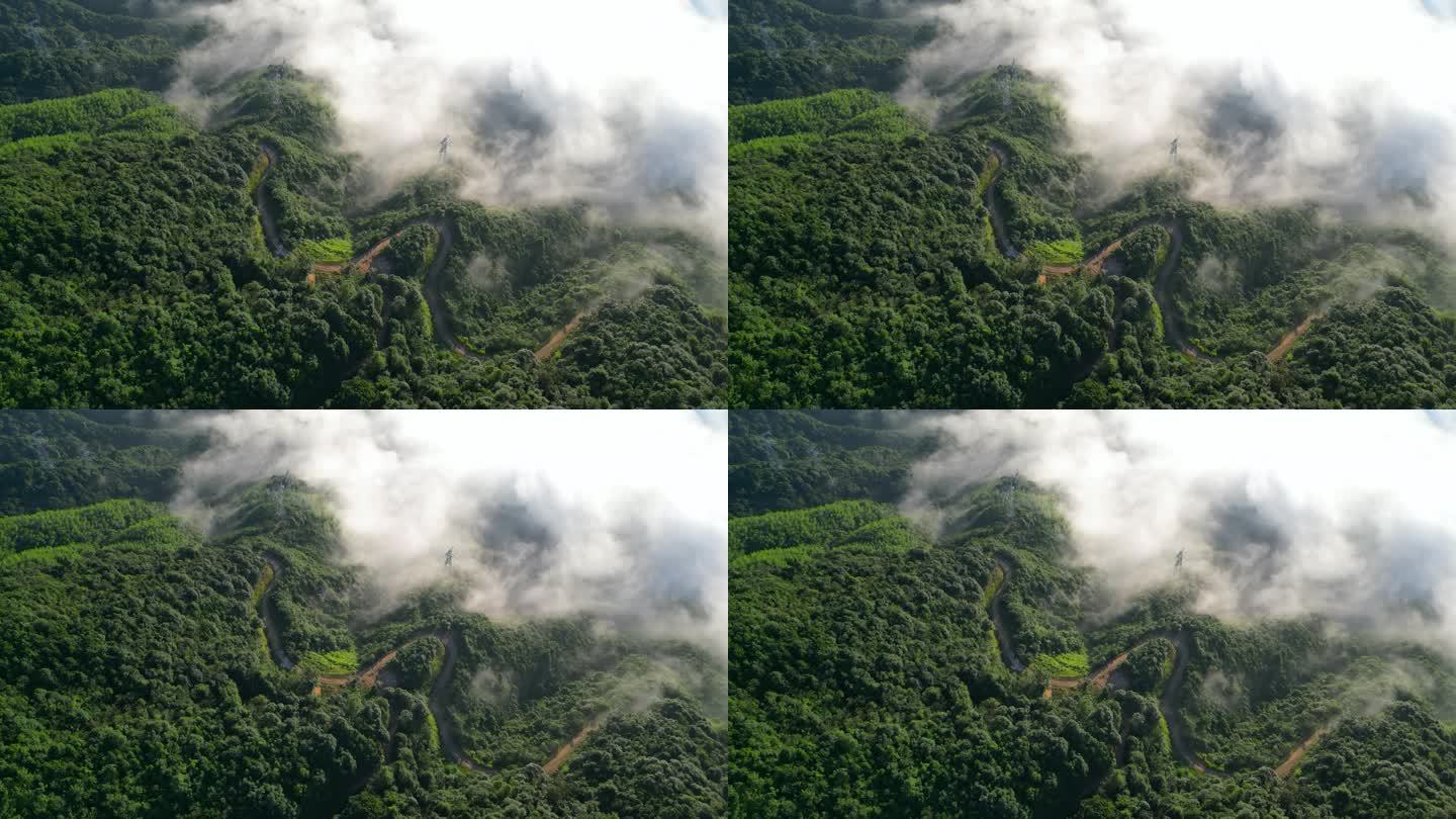 俯瞰大地  绿水青山  云海森林