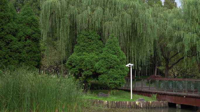 上海新虹桥中心花园