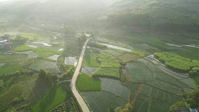 清晨乡村田园