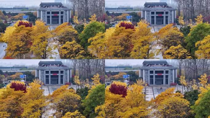 剧院广场冬景怡人