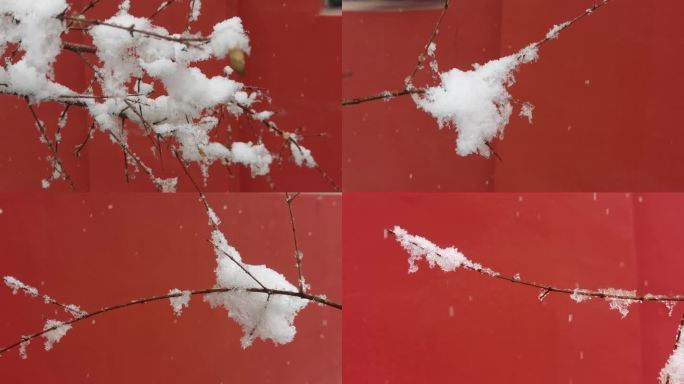 红墙白雪