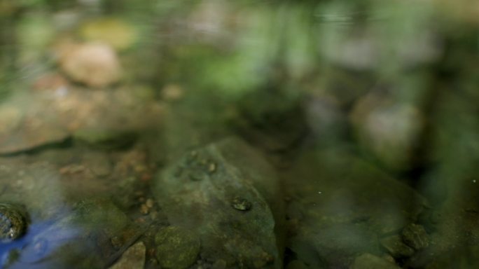 溪水流水4k合集升格拍摄
