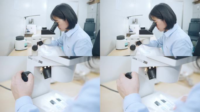 【4K】研究人员操作显微镜
