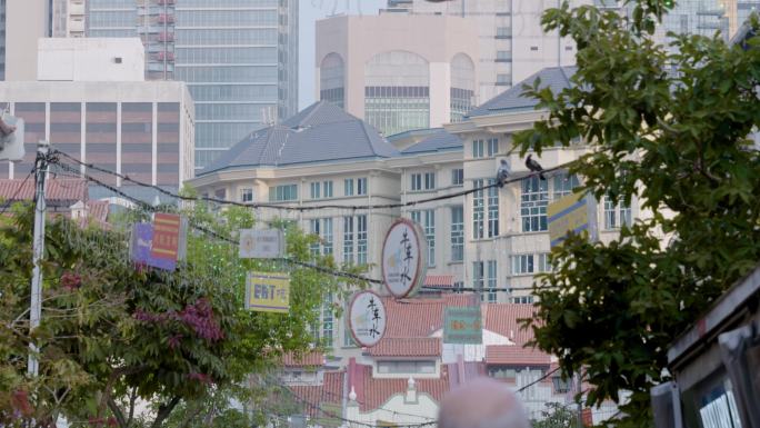 新加坡车水牛街道建筑人群灯牌