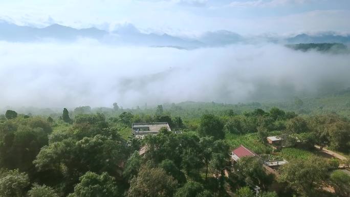 云雾笼罩的山村