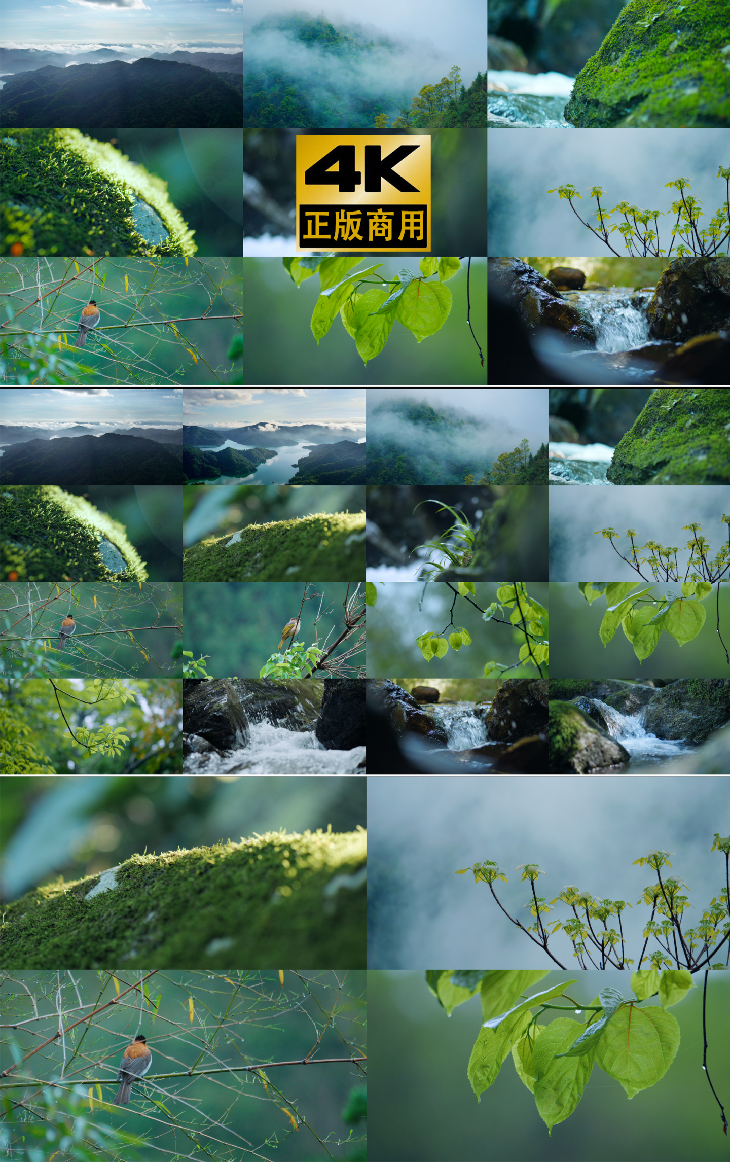 山水森林绿水青山湖泊河流水流生态万物生长