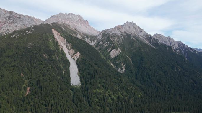 王朗国家级自然保护区 四川绵阳平武县