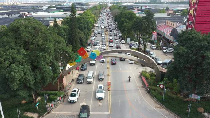 中国广东省广州市芳村花鸟鱼虫新世界