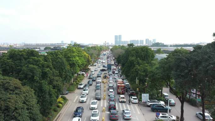 中国广东省广州市芳村花鸟鱼虫新世界