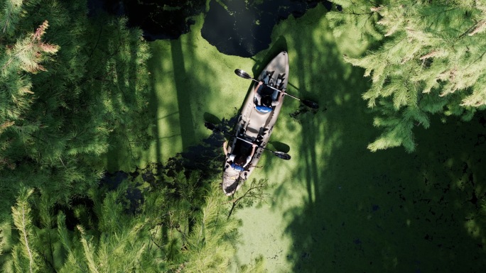 青山湖水上森林划船4K航拍杭州