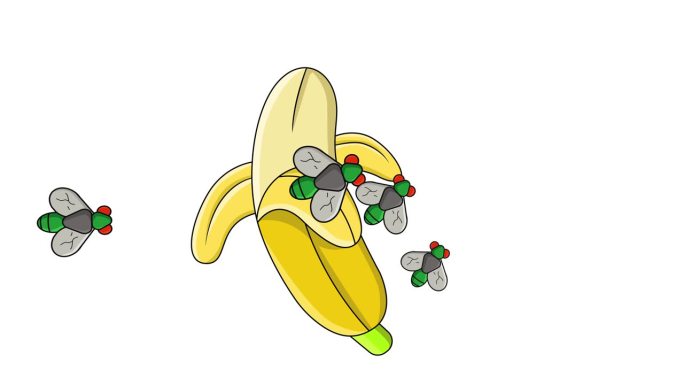 香蕉被苍蝇攻击的动画