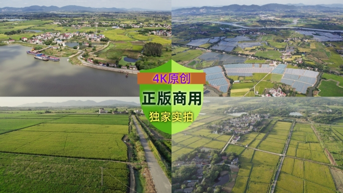 无人机航拍安徽农村水稻田野平原丘陵