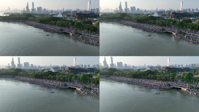 深圳湾公园围观海鸥