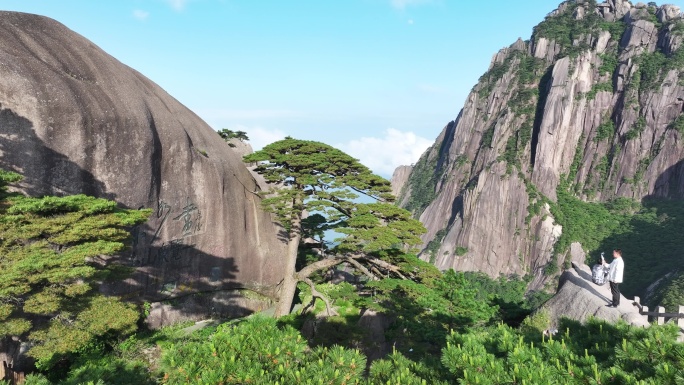 中国 黄山 迎客松 航拍 4K