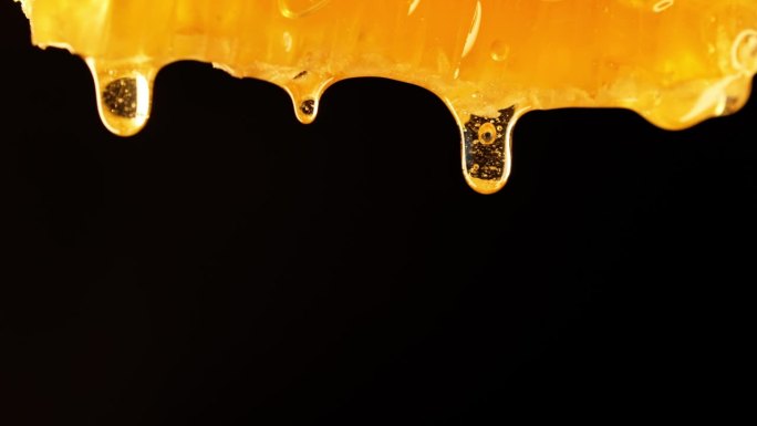 蜂蜜滴从蜂巢在迷人的微距:黄金长生不老药的特写镜头