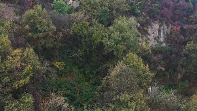 航拍云海秦岭秋季风景