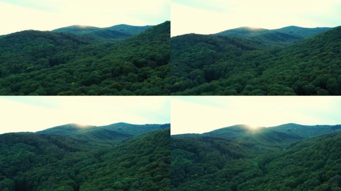 日落时凉爽绿色森林的航拍照片。落叶林的长镜头。在山上度过一天的最后时刻。山顶上的日落。